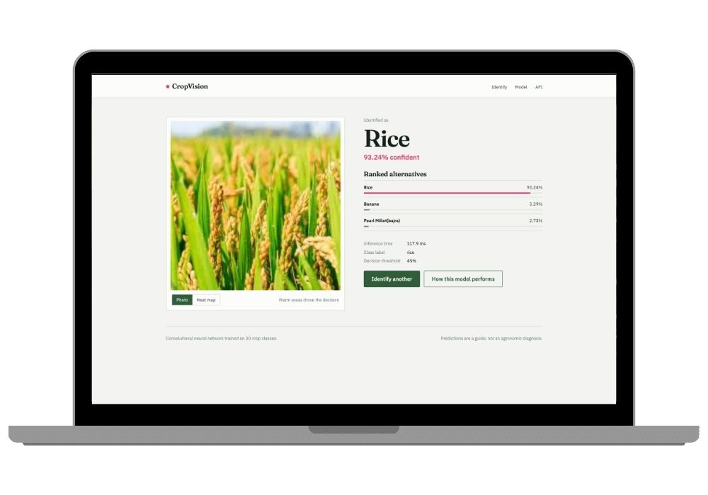 CropVision AI Crop Identification System using CNN and Flask | Final Year Project with Source Code