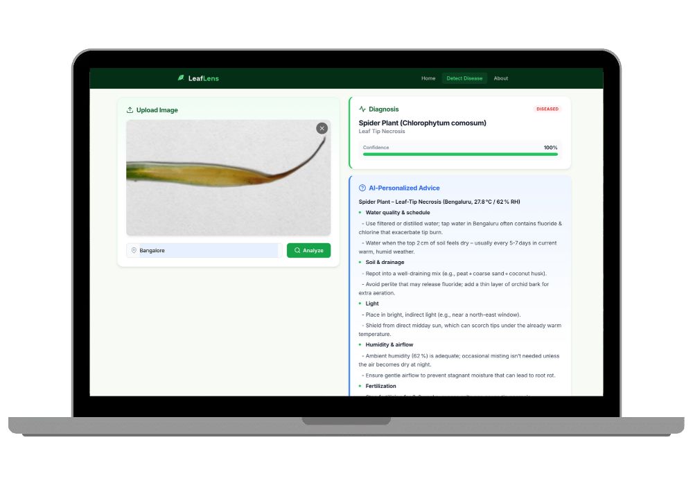 LeafLens: AI Plant Disease Detection from Leaf Photos | Python Final Year Project with Source Code