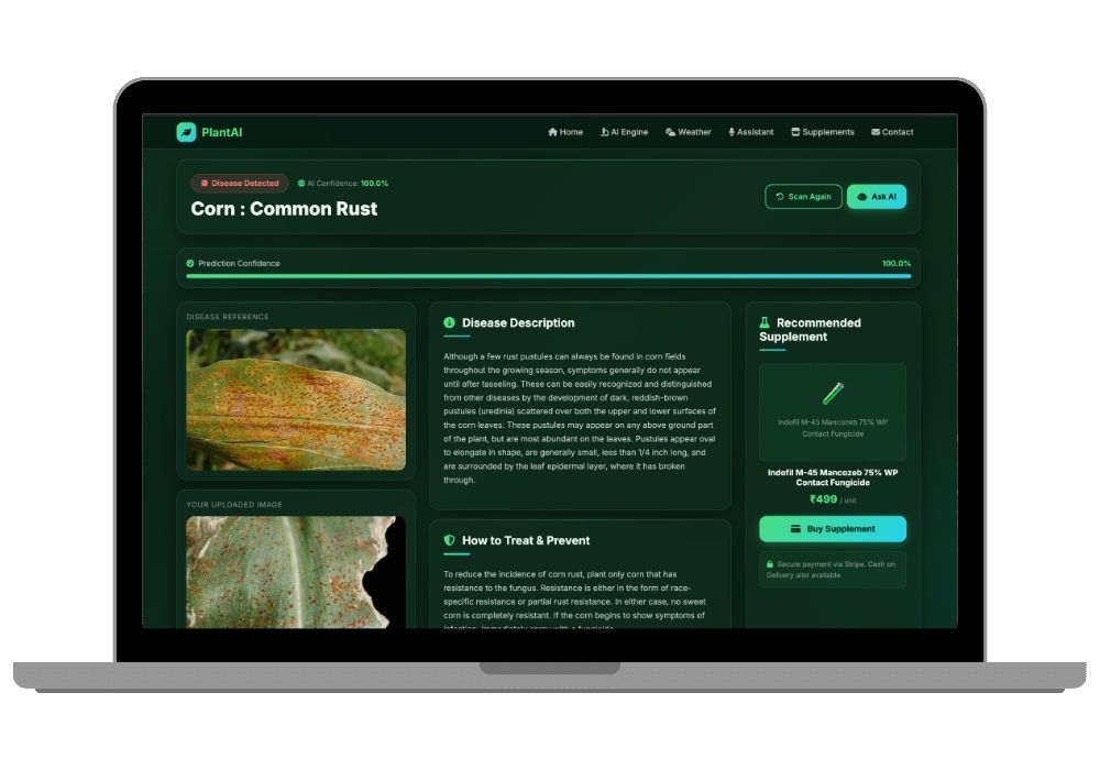 AI-Powered Plant Disease Detection System Using CNN and Flask — Final Year Project with Source Code
